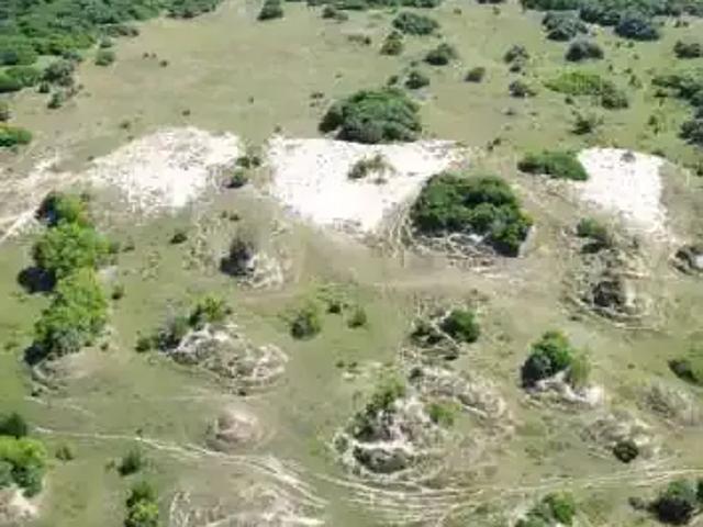 Terreno / Lote para Venda em Estância/SE Praia do Abais