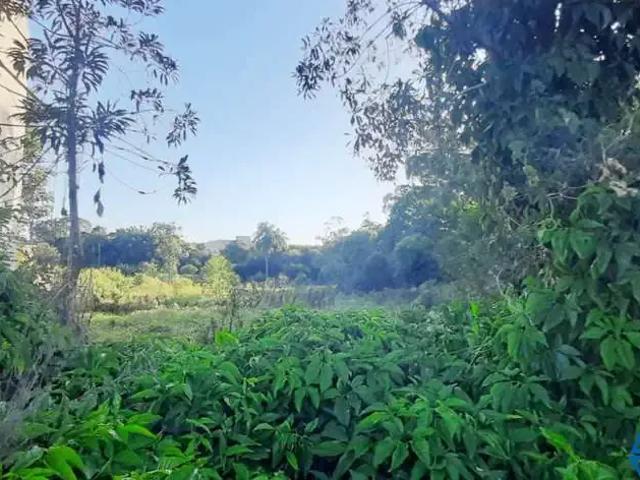Terreno / Lote para Venda em Esteio/RS Vila Olímpica