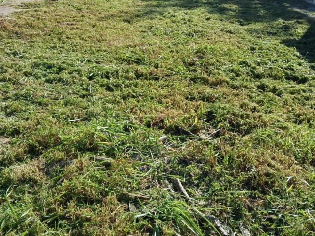 Terreno / Lote para Venda em Esteio/RS Centro