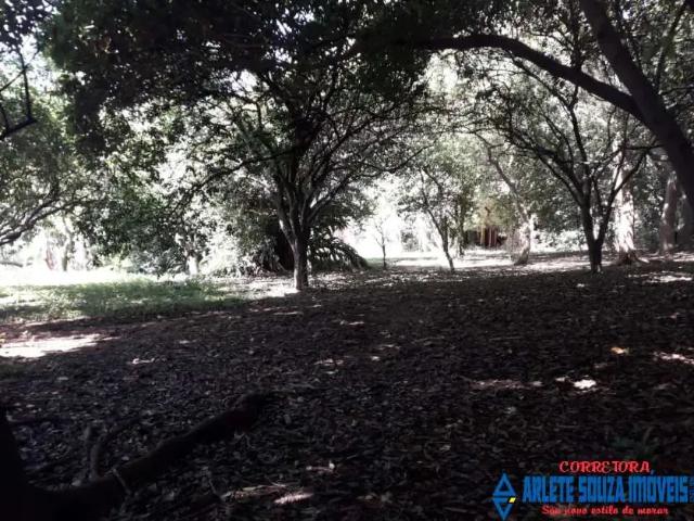 Terreno / Lote para Venda em Esteio/RS Centro