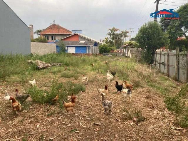 Terreno / Lote para Venda em Esteio/RS Novo Esteio