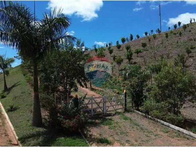 Terreno / Lote para Venda em Ewbank da Câmara/MG Centro