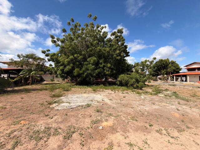 Terreno / Lote para Venda em Eusébio/CE Timbu