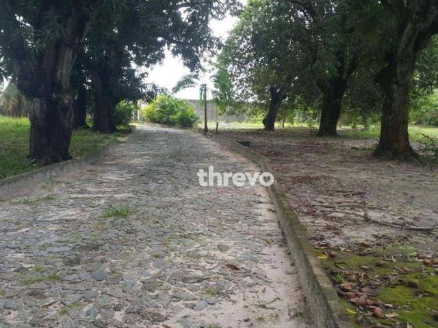 Terreno / Lote para Venda em Eusébio/CE Centro