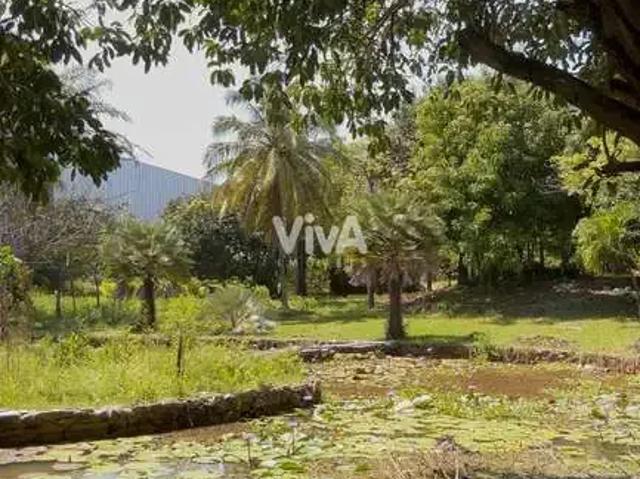 Terreno / Lote para Venda em Eusébio/CE Mangabeira