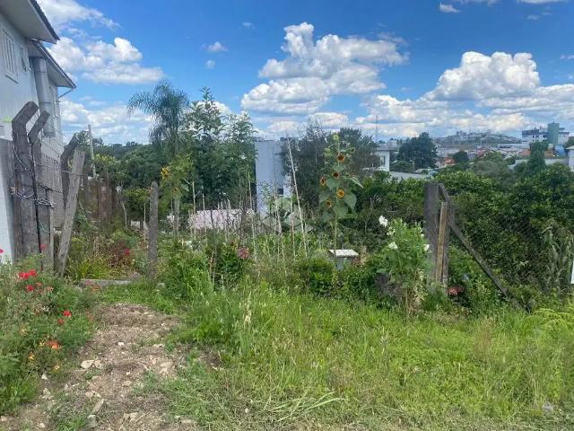 Terreno / Lote para Venda em Farroupilha/RS Medianeira