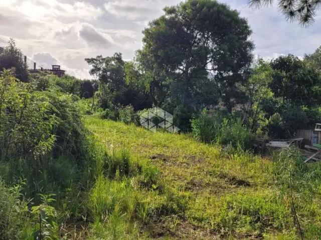 Terreno / Lote para Venda em Farroupilha/RS Medianeira