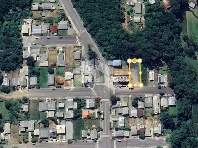 Terreno / Lote para Venda em Farroupilha/RS Monte Verde