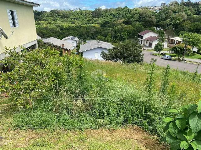 Terreno / Lote para Venda em Farroupilha/RS Monte Verde