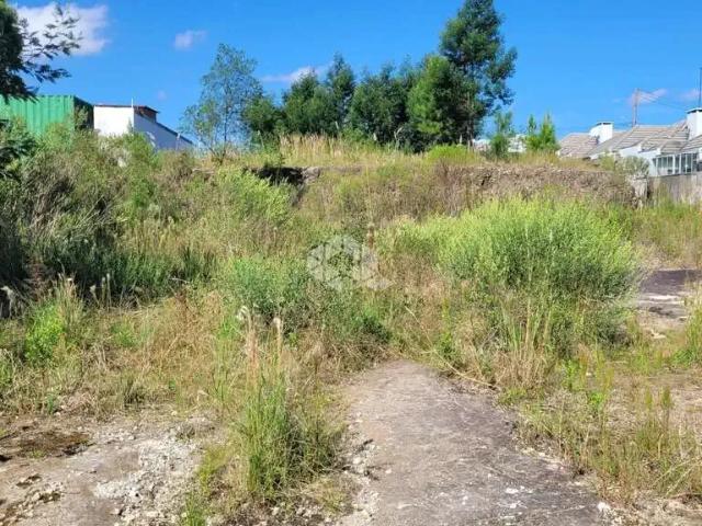 Terreno / Lote para Venda em Farroupilha/RS Monte Verde