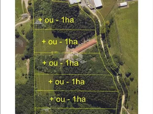 Terreno / Lote para Venda em Farroupilha/RS Nova Sardenha Distrito