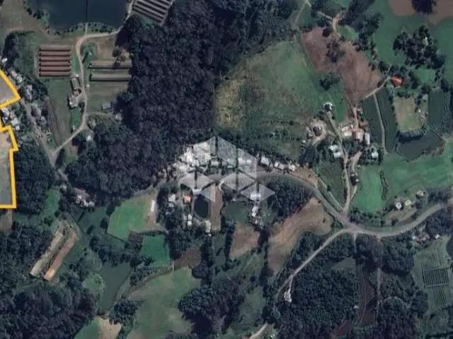 Terreno / Lote para Venda em Farroupilha/RS Nova Sardenha Distrito