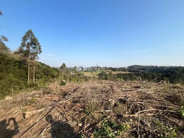 Terreno / Lote para Venda em Farroupilha/RS Nova Sardenha Distrito