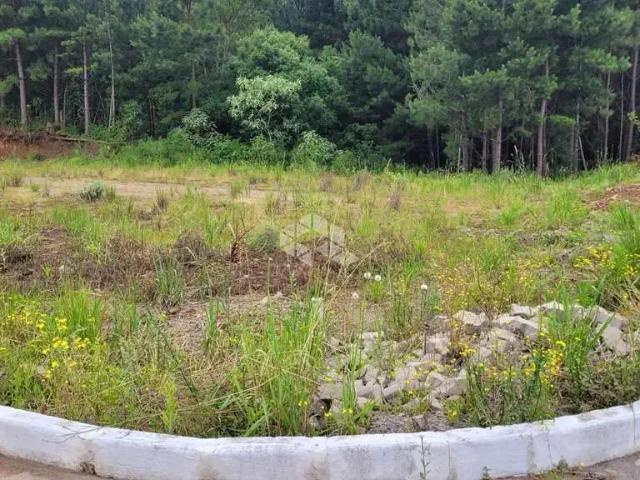 Terreno / Lote para Venda em Farroupilha/RS Nova Sardenha Distrito
