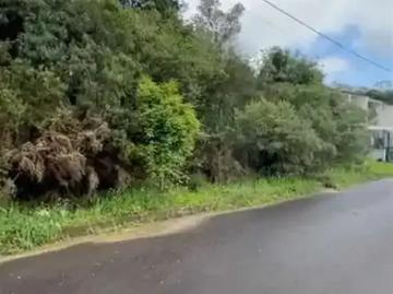 Terreno / Lote para Venda em Farroupilha/RS América