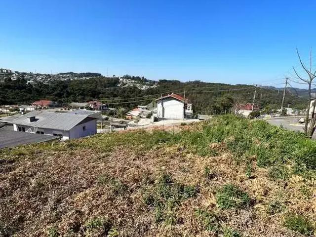 Terreno / Lote para Venda em Farroupilha/RS América