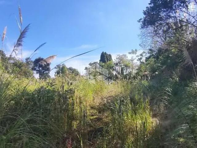 Terreno / Lote para Venda em Farroupilha/RS América