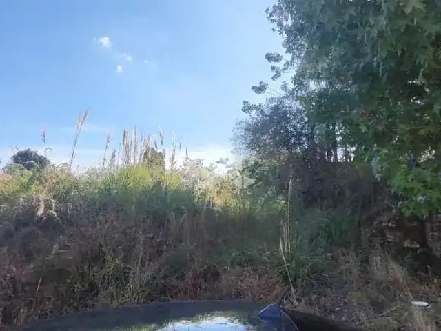 Terreno / Lote para Venda em Farroupilha/RS América