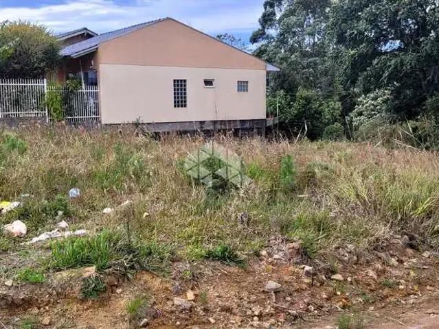 Terreno / Lote para Venda em Farroupilha/RS América