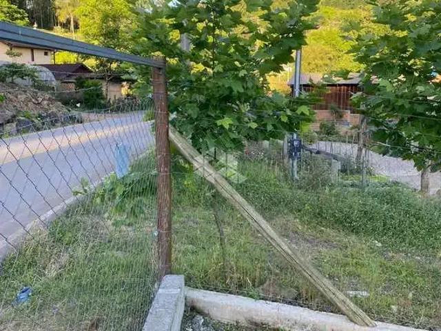 Terreno / Lote para Venda em Farroupilha/RS Área Rural de Farroupilha