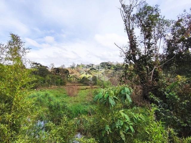 Terreno / Lote para Venda em Farroupilha/RS Área Rural de Farroupilha