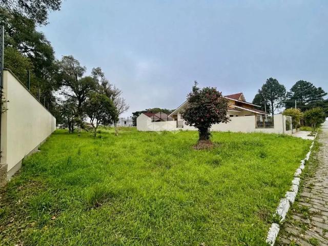 Terreno / Lote para Venda em Farroupilha/RS Bela Vista