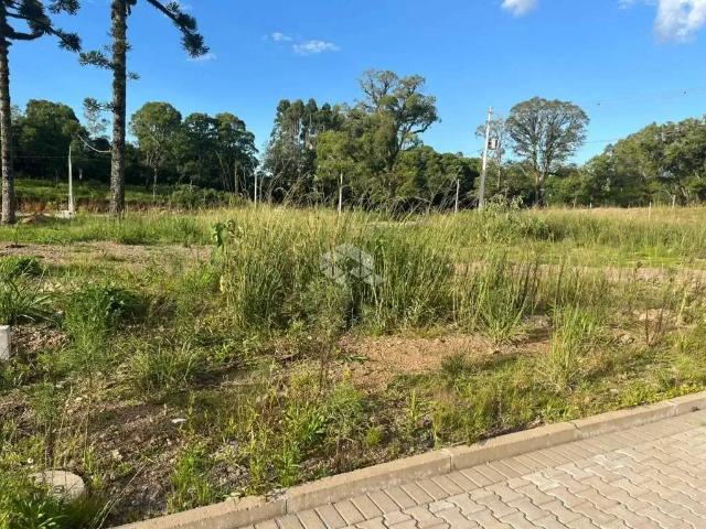 Terreno / Lote para Venda em Farroupilha/RS Belvedere