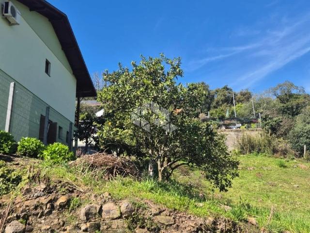 Terreno / Lote para Venda em Farroupilha/RS Centenário