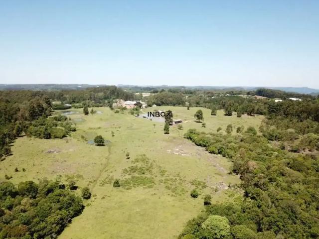 Terreno / Lote para Venda em Farroupilha/RS Centro
