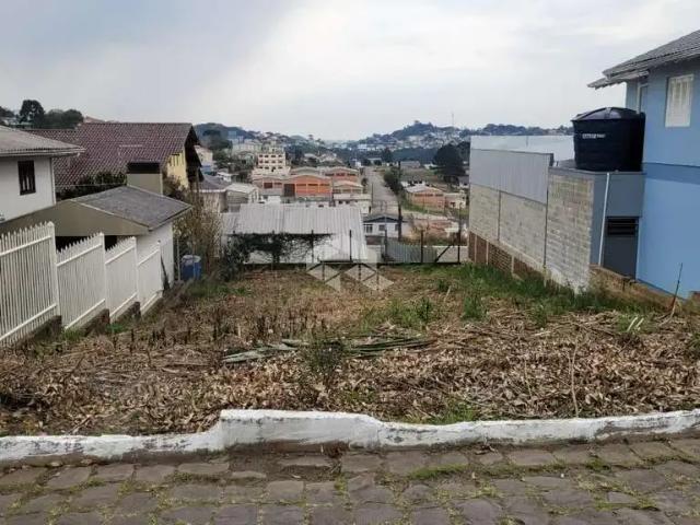 Terreno / Lote para Venda em Farroupilha/RS Cruzeiro