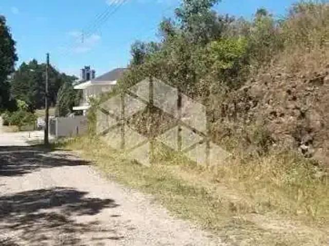 Terreno / Lote para Venda em Farroupilha/RS Cruzeiro
