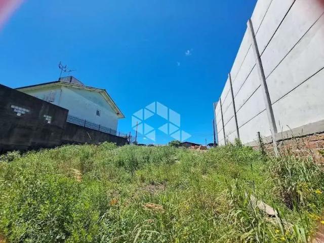 Terreno / Lote para Venda em Farroupilha/RS Cruzeiro