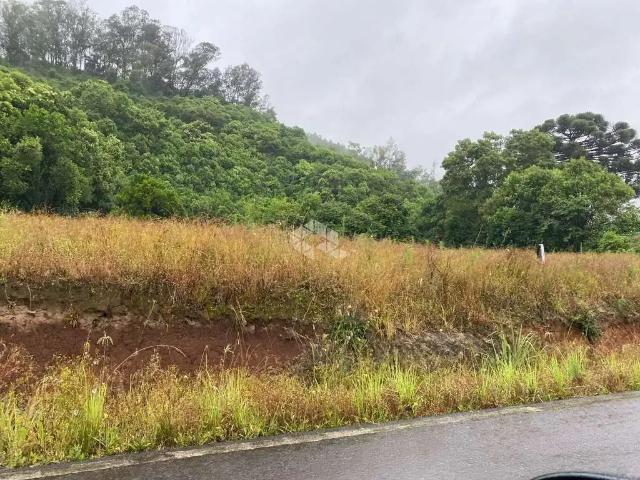 Terreno / Lote para Venda em Farroupilha/RS Jansen