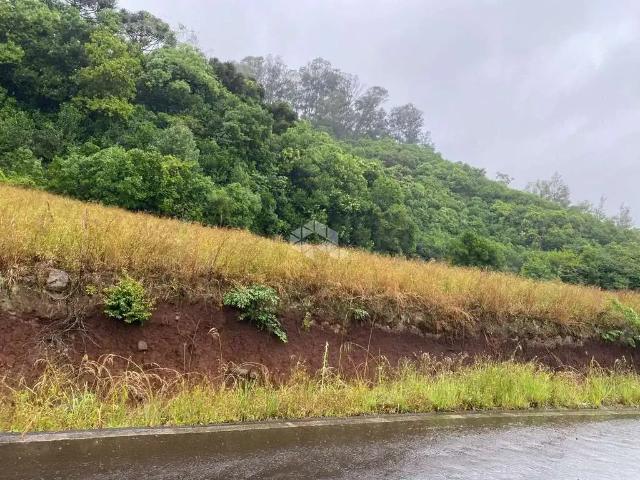 Terreno / Lote para Venda em Farroupilha/RS Jansen