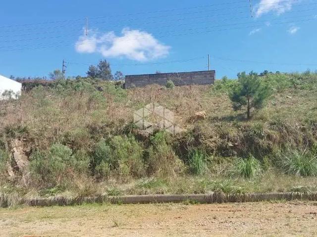 Terreno / Lote para Venda em Farroupilha/RS Jansen