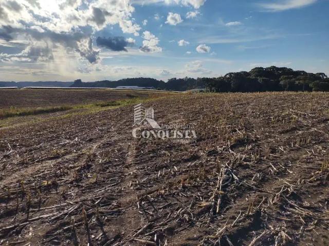 Terreno / Lote para Venda em Farroupilha/RS Linha Palmeiro