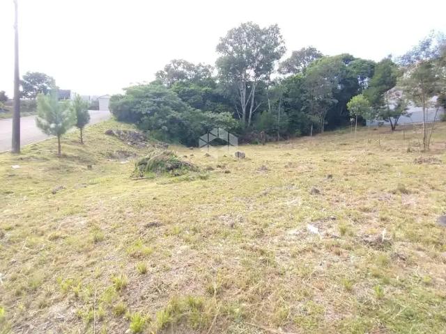 Terreno / Lote para Venda em Farroupilha/RS São Francisco