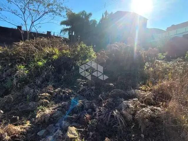 Terreno / Lote para Venda em Farroupilha/RS São Francisco