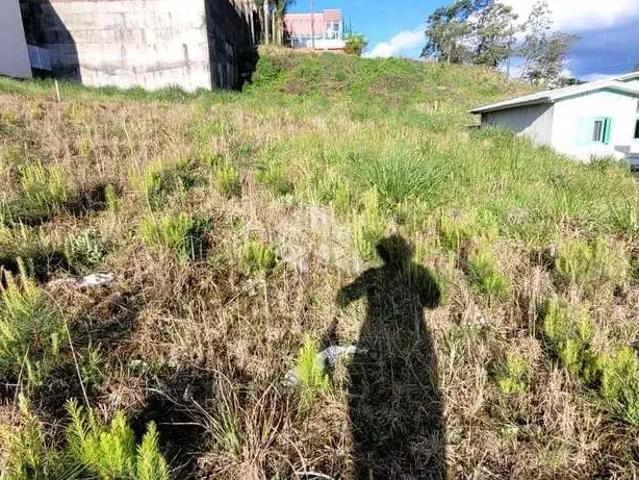 Terreno / Lote para Venda em Farroupilha/RS São Francisco