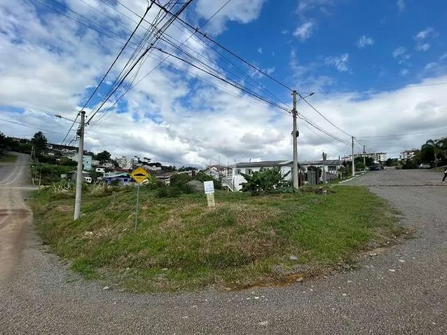 Terreno / Lote para Venda em Farroupilha/RS São Francisco