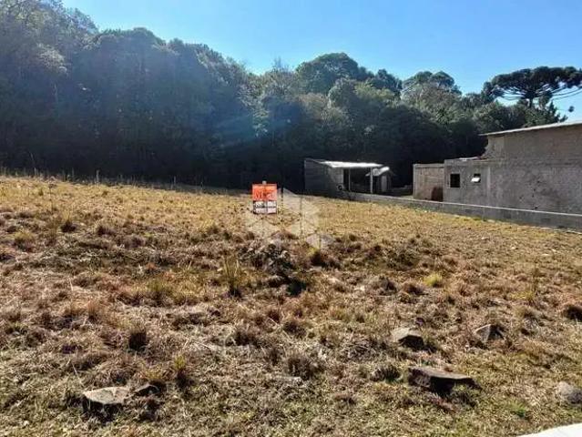 Terreno / Lote para Venda em Farroupilha/RS São Francisco