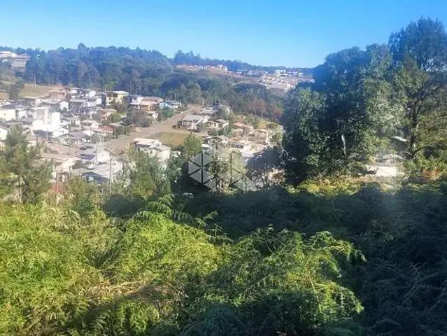 Terreno / Lote para Venda em Farroupilha/RS São Francisco