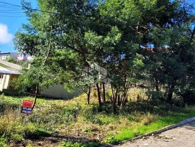 Terreno / Lote para Venda em Farroupilha/RS São José