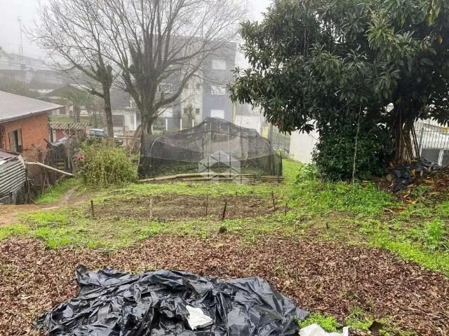 Terreno / Lote para Venda em Farroupilha/RS São Luiz