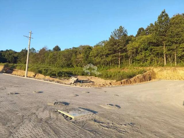 Terreno / Lote para Venda em Farroupilha/RS São Luiz