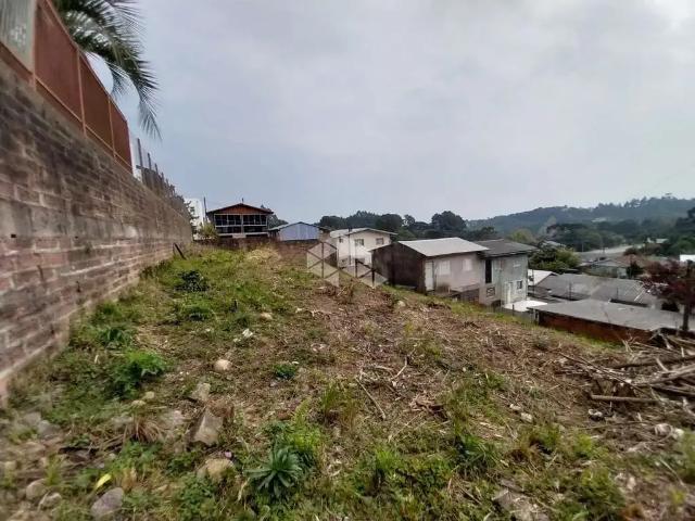 Terreno / Lote para Venda em Farroupilha/RS São Luiz