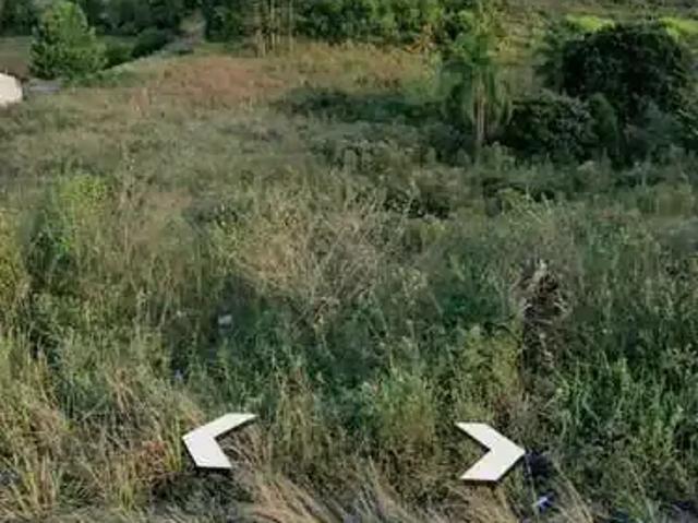 Terreno / Lote para Venda em Farroupilha/RS Vicentina