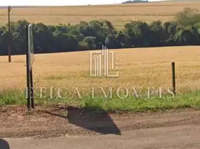 Terreno / Lote para Venda em Faxinal/PR Centro