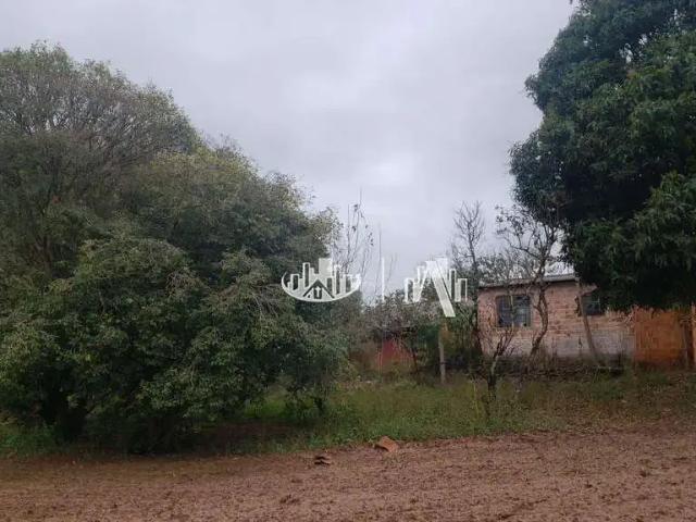 Terreno / Lote para Venda em Faxinal/PR Centro
