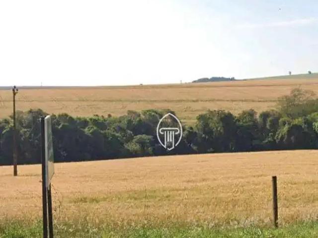 Terreno / Lote para Venda em Faxinal/PR Zona Rural